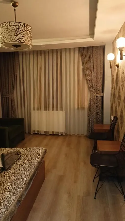 Capitol Old City Apartments 伊斯坦布尔